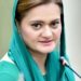 صدر علوی اور عمران خان پر غداری کا مقدمہ چلانے کا فیصلہ خصوصی کمیٹی کرے گی/مریم اورنگزیب