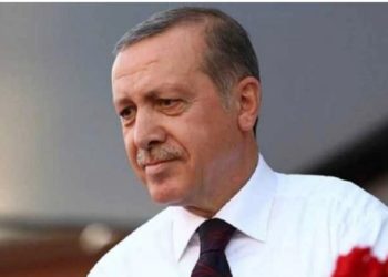 طیب اردغان نے سویڈن اور فن لینڈ کو نیٹو میں شمولیت سے روکنے کی دی دھمکی