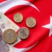 ترکی کی کرنسی لیرا میں گراوٹ کا سلسلہ جاری، افراط زر 70 فیصد پر