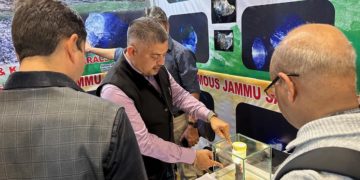 جموں وکشمیر پویلین میں جموں کا نیلم لوگوں کی توجہ کا مرکزبن گیا