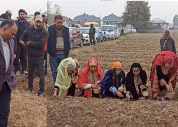 محکمہ سیاحت کشمیر نے پانپور میں’ زعفران فیسٹول‘ کا کیااِنعقاد