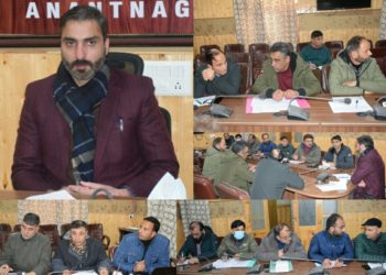 ڈی سی اننت ناگ نے کے پی ڈی سی ایل کے کامو ں کی صورتحال لیاجائزہ