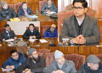 ضلع ترقیاتی کمشنربانڈی پورہ نے بجلی کے منظرنامے کا جائز ہ لیا