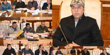 ڈی سی کولگام نے ڈی ایل ٹی سی میٹنگ کی صدارت کی