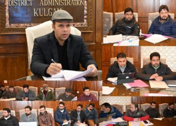 ضلع ترقیاتی کمشنر کولگام نے محکمہ ریونیو کے کام کاج کا لیاجائزہ