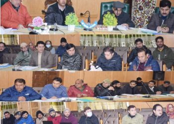 ضلع ترقیاتی کمشنر پلوامہ نے ڈی ایل آر سی میٹنگ کی صدارت کی