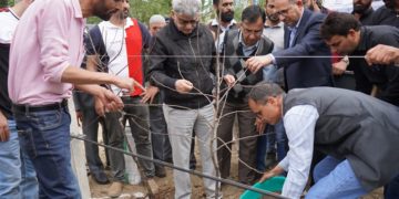 اتل ڈولو نے ہائی ڈینسٹی پلانٹیشن پروگرام پر پیش رفت کا لیا جائیزہ