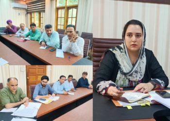 ضلع ترقیاتی کمشنر بارہمولہ نے یوم آزادی کی تقریبات کے اِنتظامات کا جائزہ لیا
