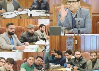 ڈی سی بانڈی پورہ نے محکمہ ریونیو کی مجموعی کارکردگی کا لیاجائزہ