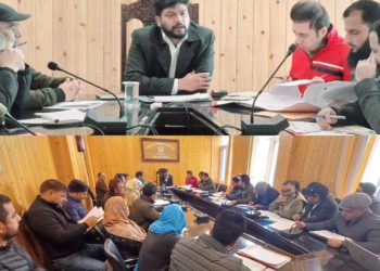 ضلع ترقیاتی کمشنر گاندربل نے ’ وَن ڈسٹرکٹ وَن پروڈکٹ ‘ اَقدام کو فروغ دینے کیلئے میٹنگ کی صدارت کی