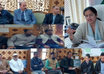 ڈسٹرکٹ الیکشن آفیسر کپواڑہ نے سیاسی جماعتوں کے نمائندوں کے ساتھ میٹنگ منعقد کی