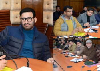 نائب وزیر اعلیٰ نے کشمیر میں برفباری کے بعد کی صورتحال کا جائزہ لیا