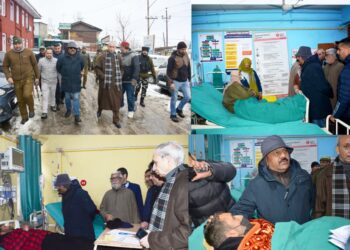 نائب وزیرا علیٰ نے بڈگام میں برفباری کے بعد کی صورتحال کا جائزہ لیا